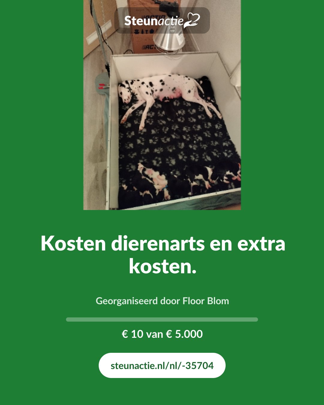 Voorbeeld van de afbeelding