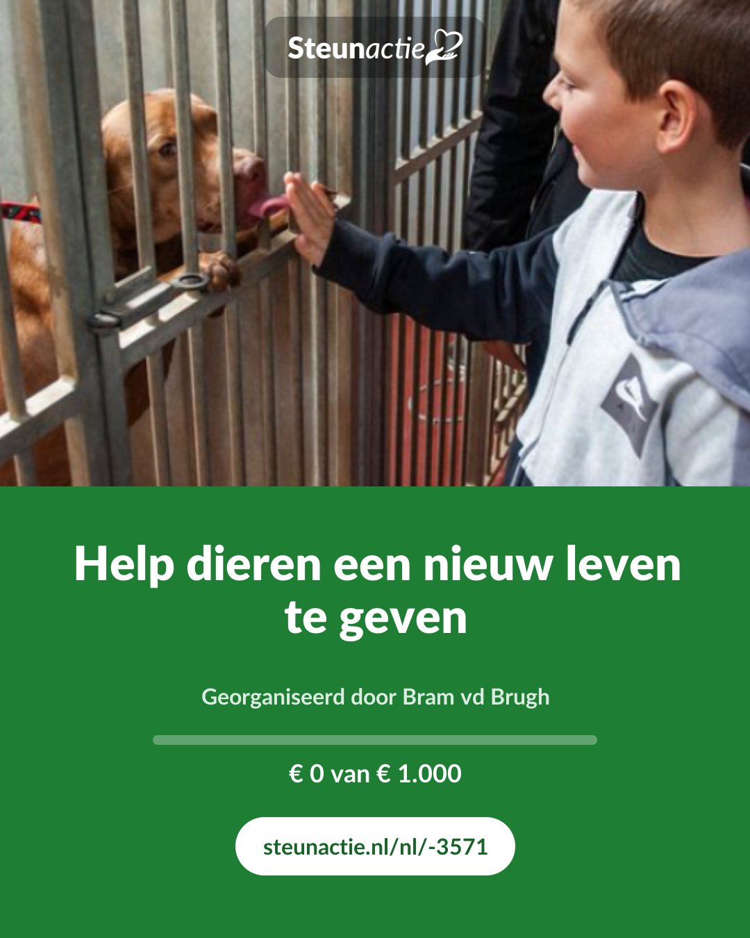 Voorbeeld van de afbeelding