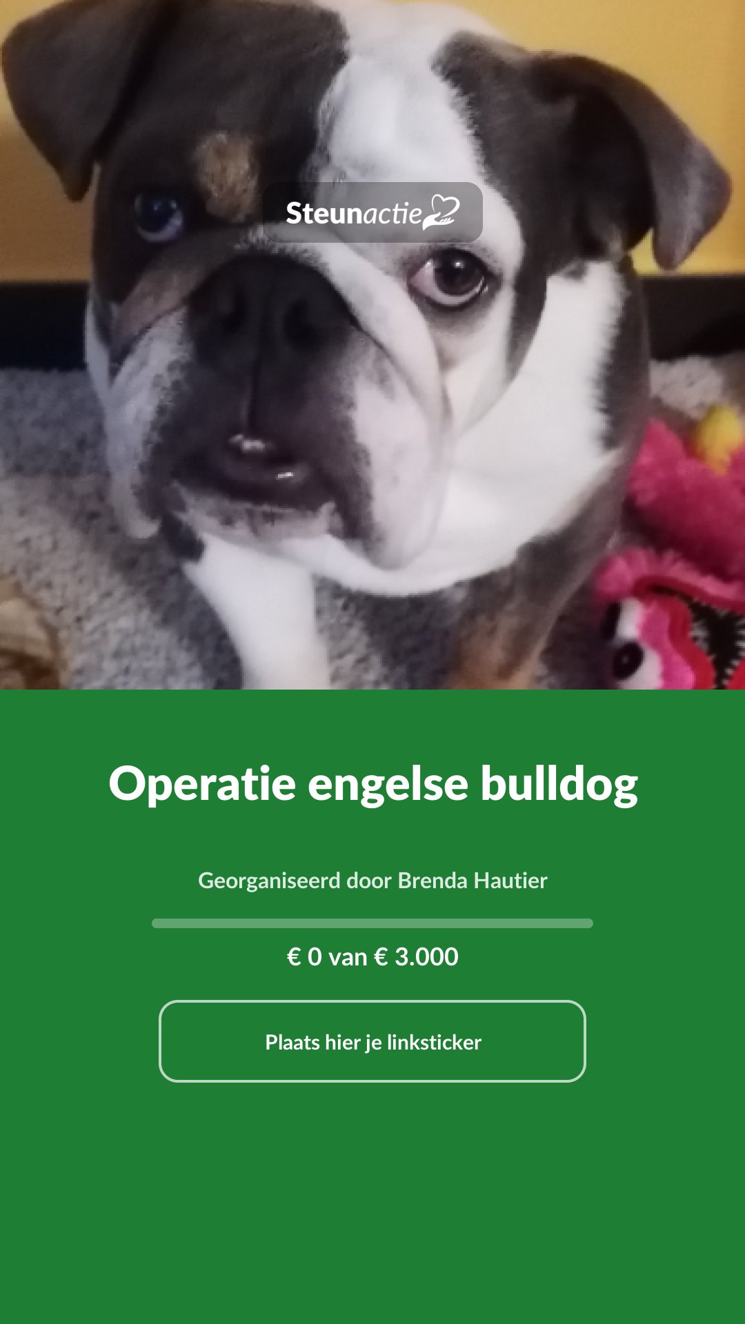 Voorbeeld van de afbeelding