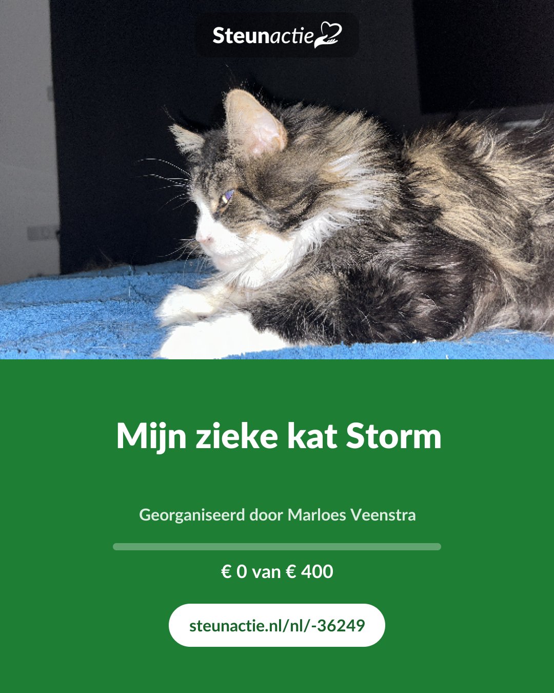 Voorbeeld van de afbeelding