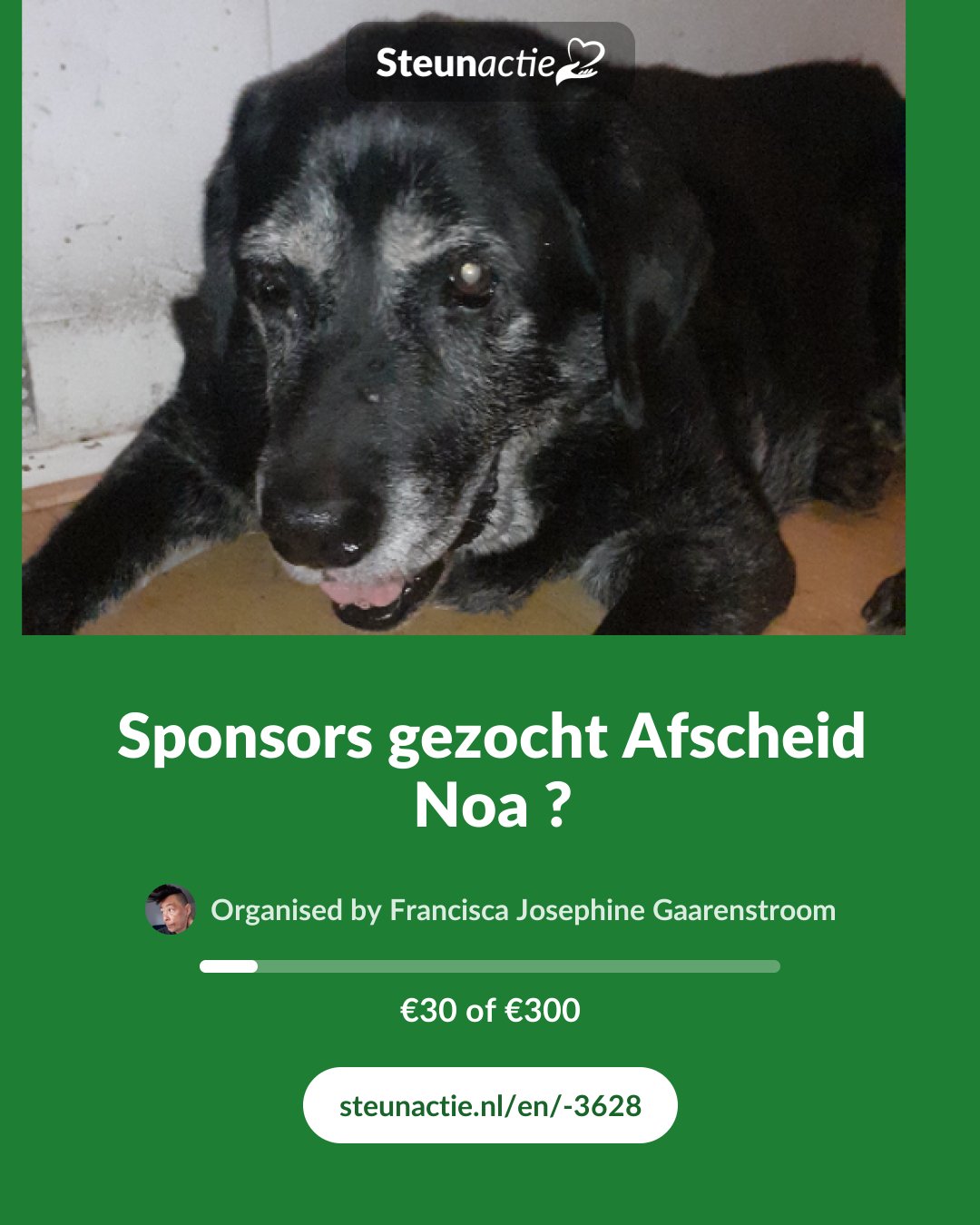 Preview of the image