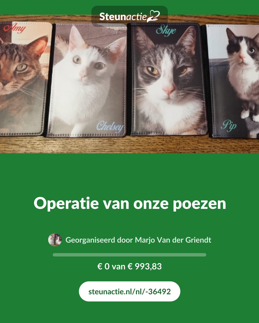 Voorbeeld van de afbeelding