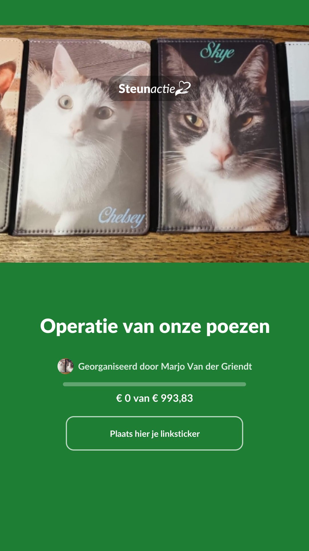 Voorbeeld van de afbeelding