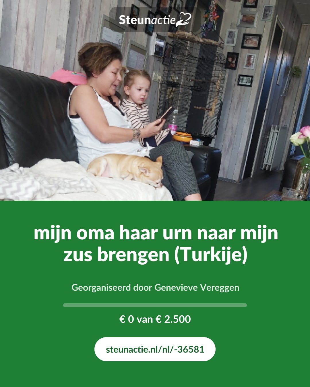 Voorbeeld van de afbeelding