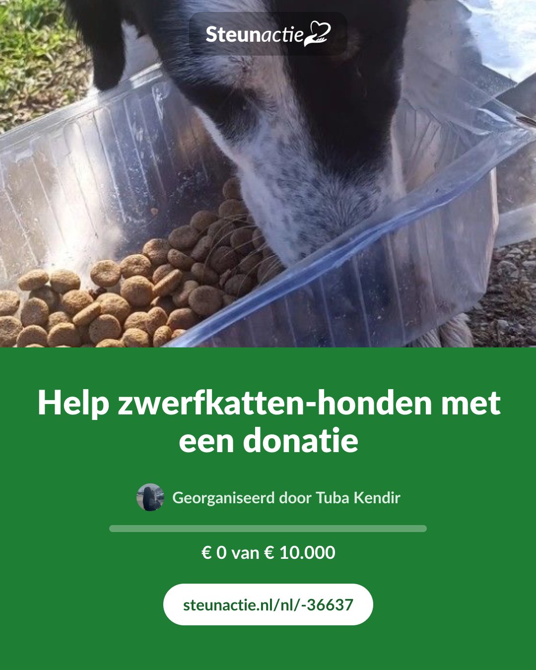 Voorbeeld van de afbeelding