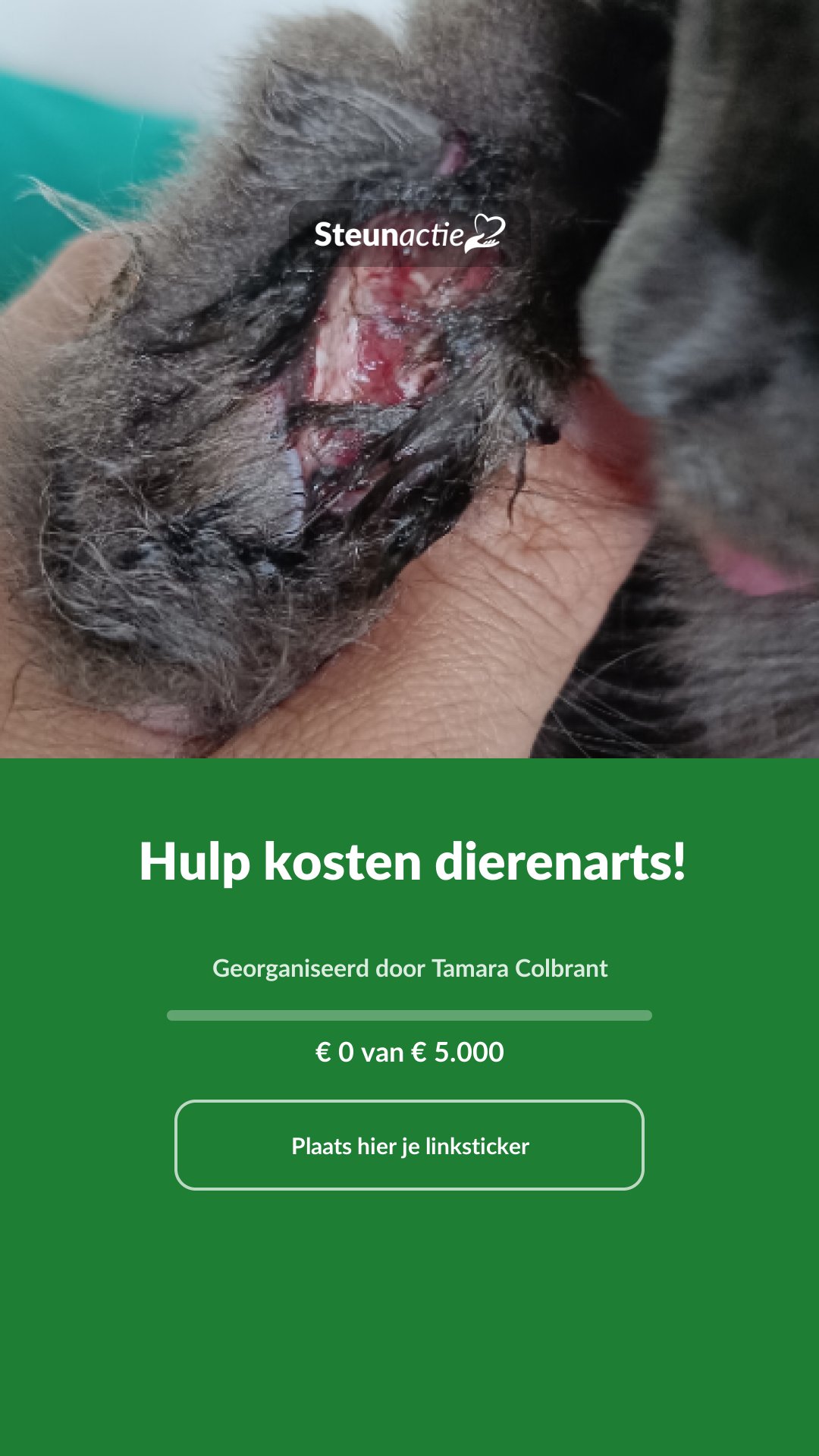 Voorbeeld van de afbeelding