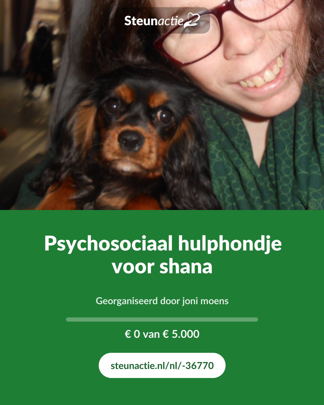 Voorbeeld van de afbeelding