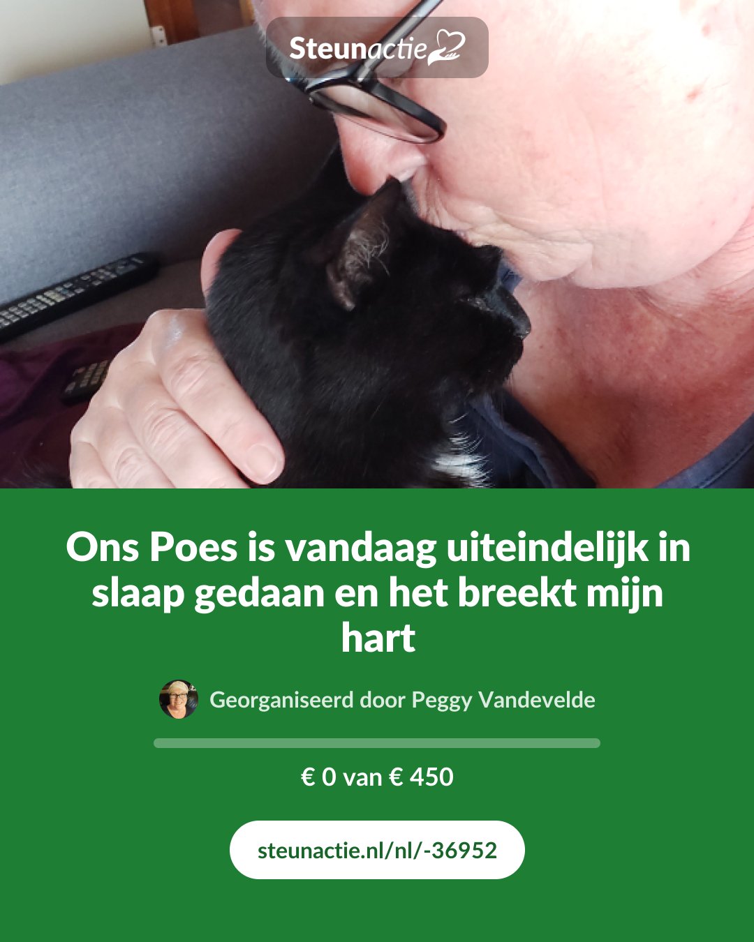 Voorbeeld van de afbeelding