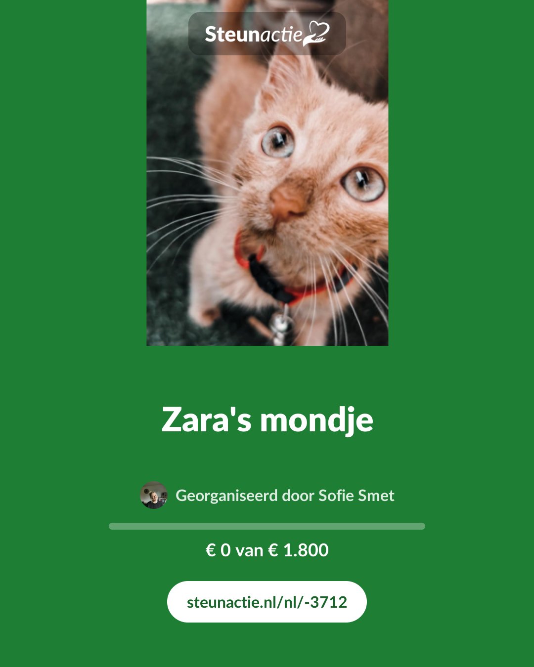 Voorbeeld van de afbeelding