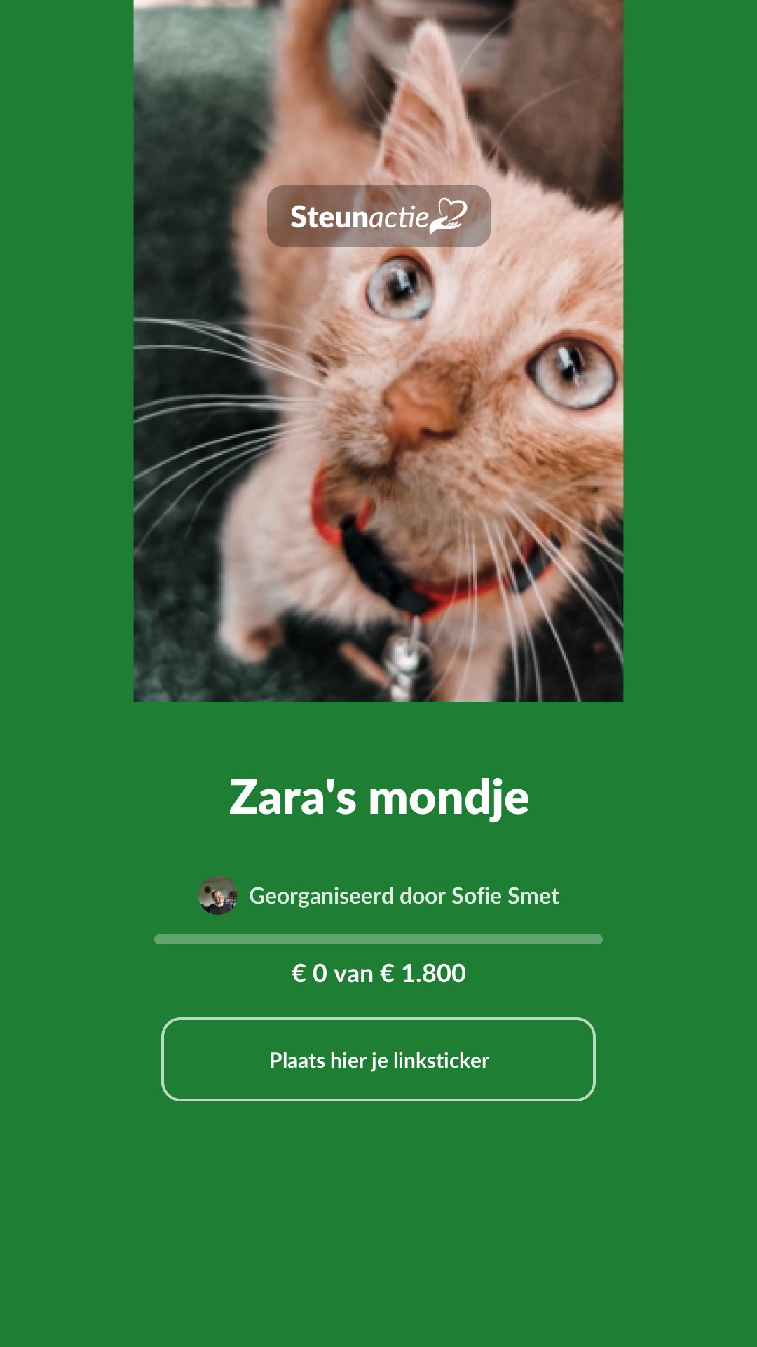 Voorbeeld van de afbeelding