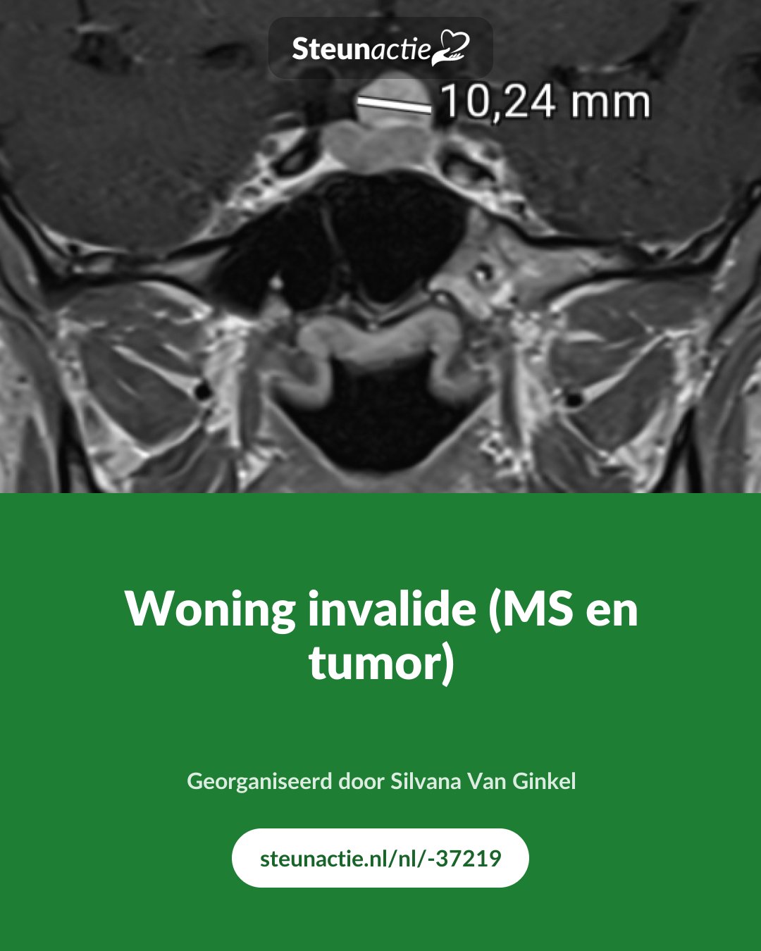 Voorbeeld van de afbeelding