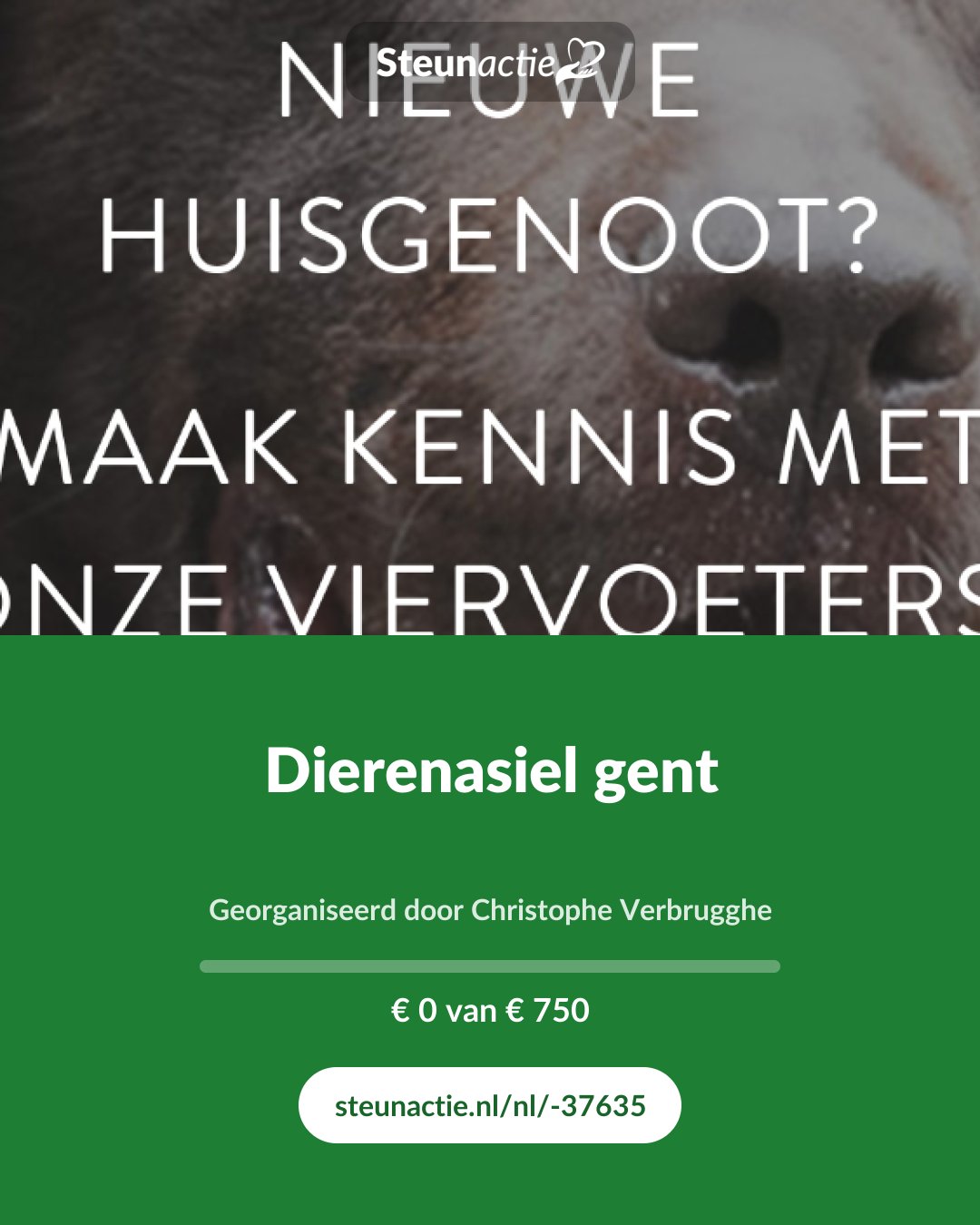 Voorbeeld van de afbeelding