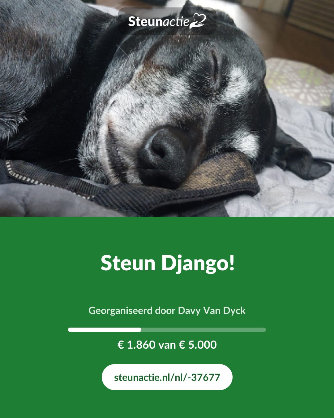 Voorbeeld van de afbeelding