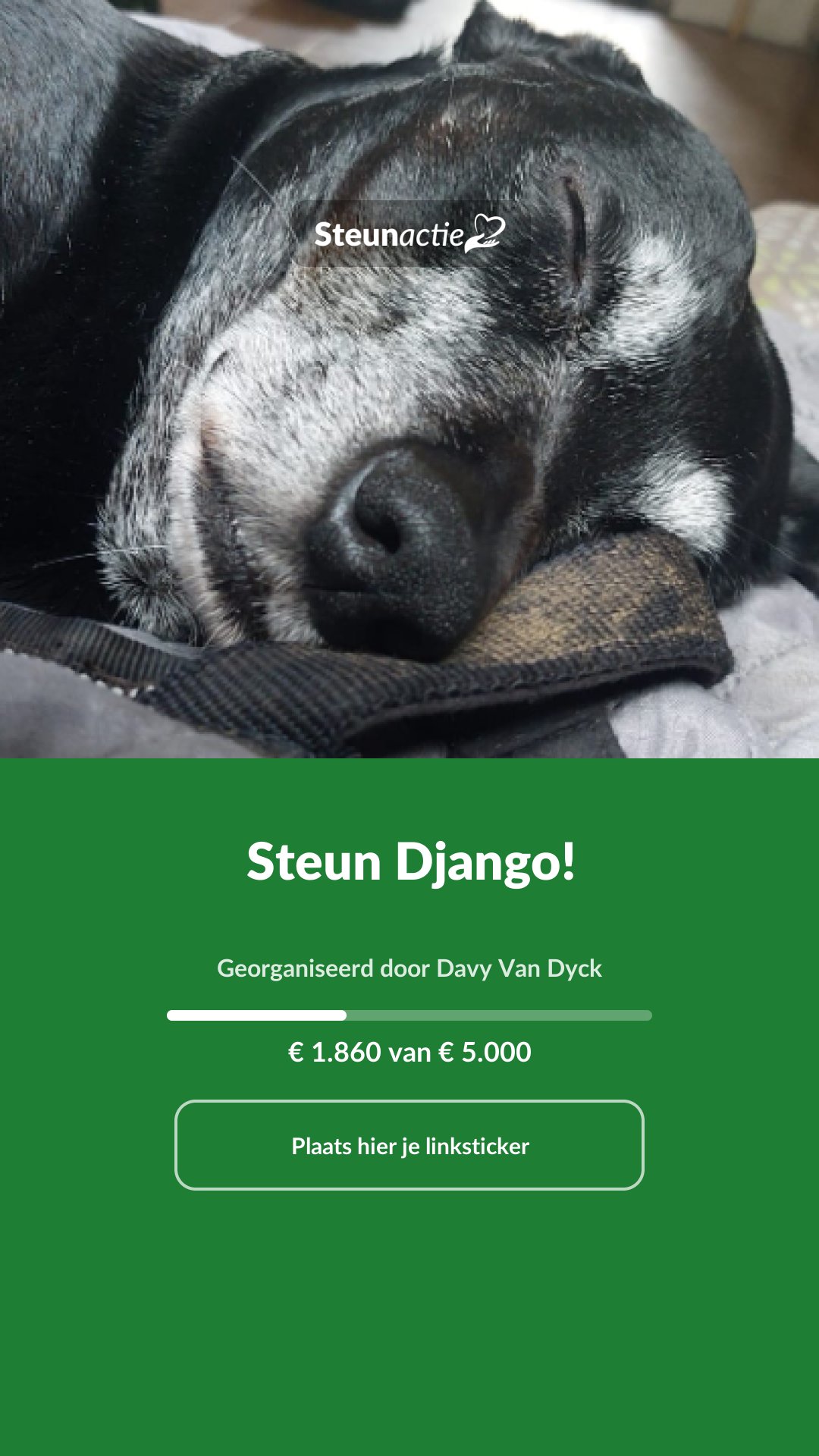 Voorbeeld van de afbeelding