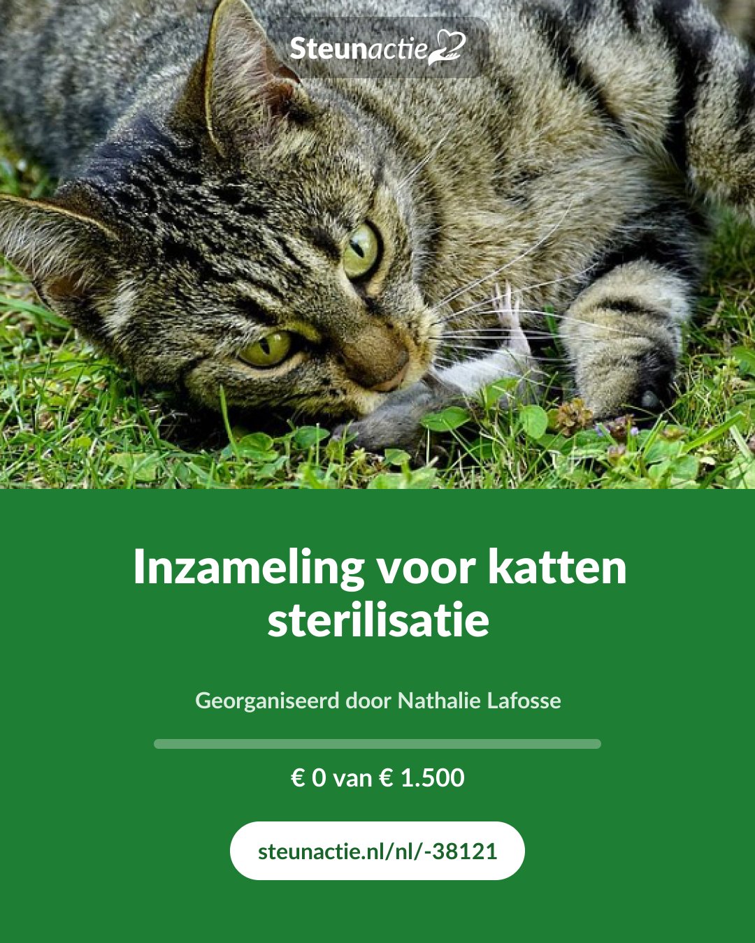 Voorbeeld van de afbeelding