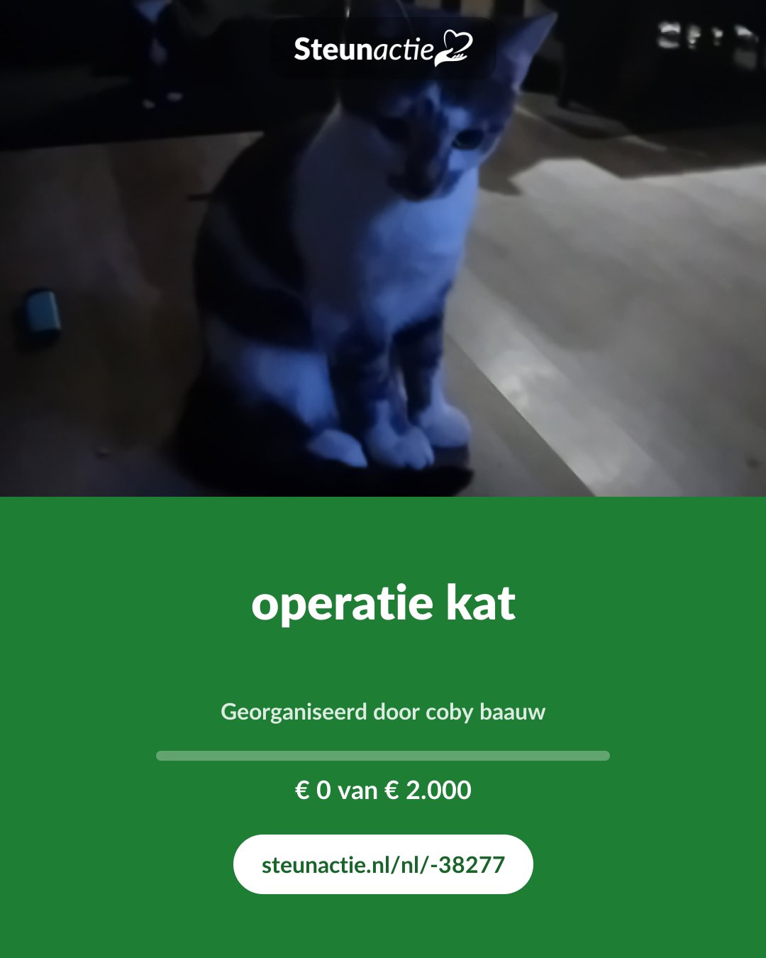 Voorbeeld van de afbeelding