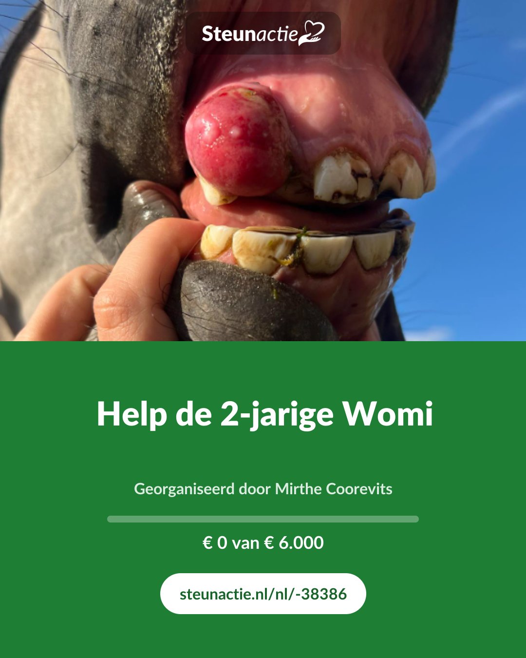 Voorbeeld van de afbeelding