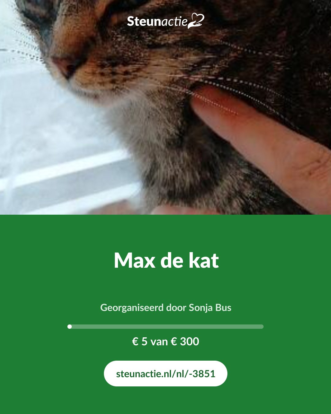Voorbeeld van de afbeelding