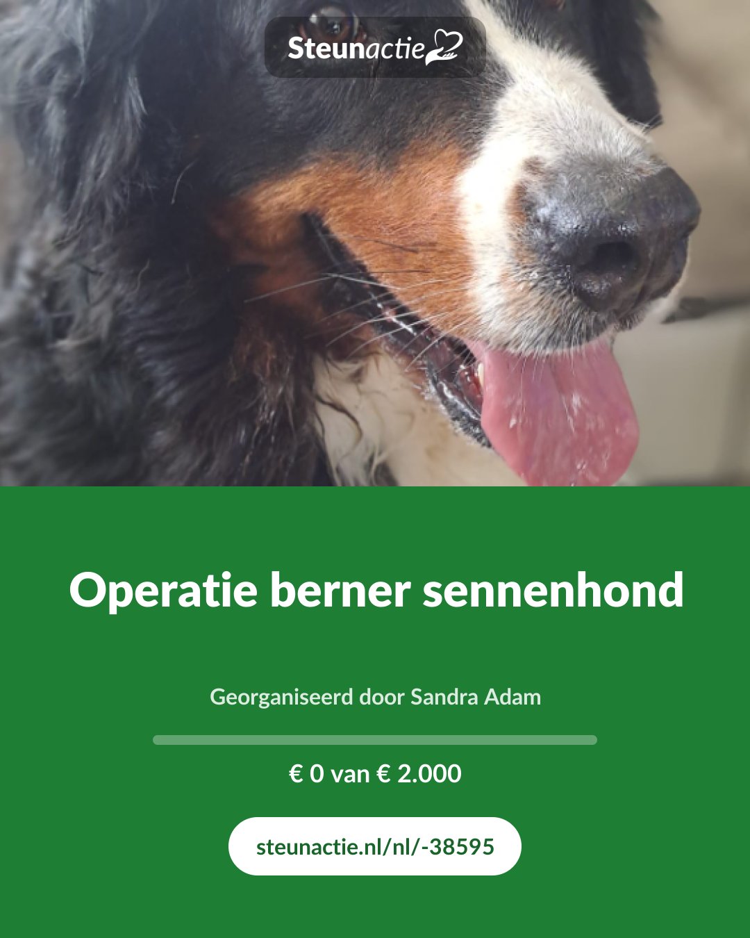 Voorbeeld van de afbeelding