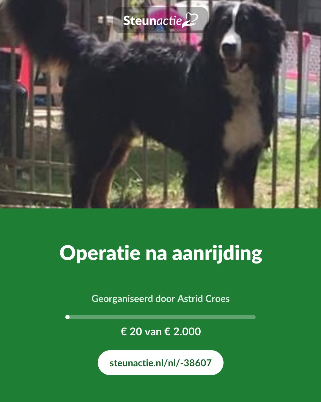 Voorbeeld van de afbeelding