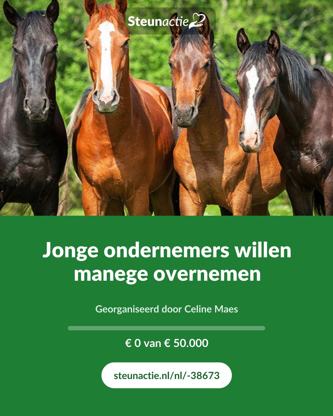 Voorbeeld van de afbeelding