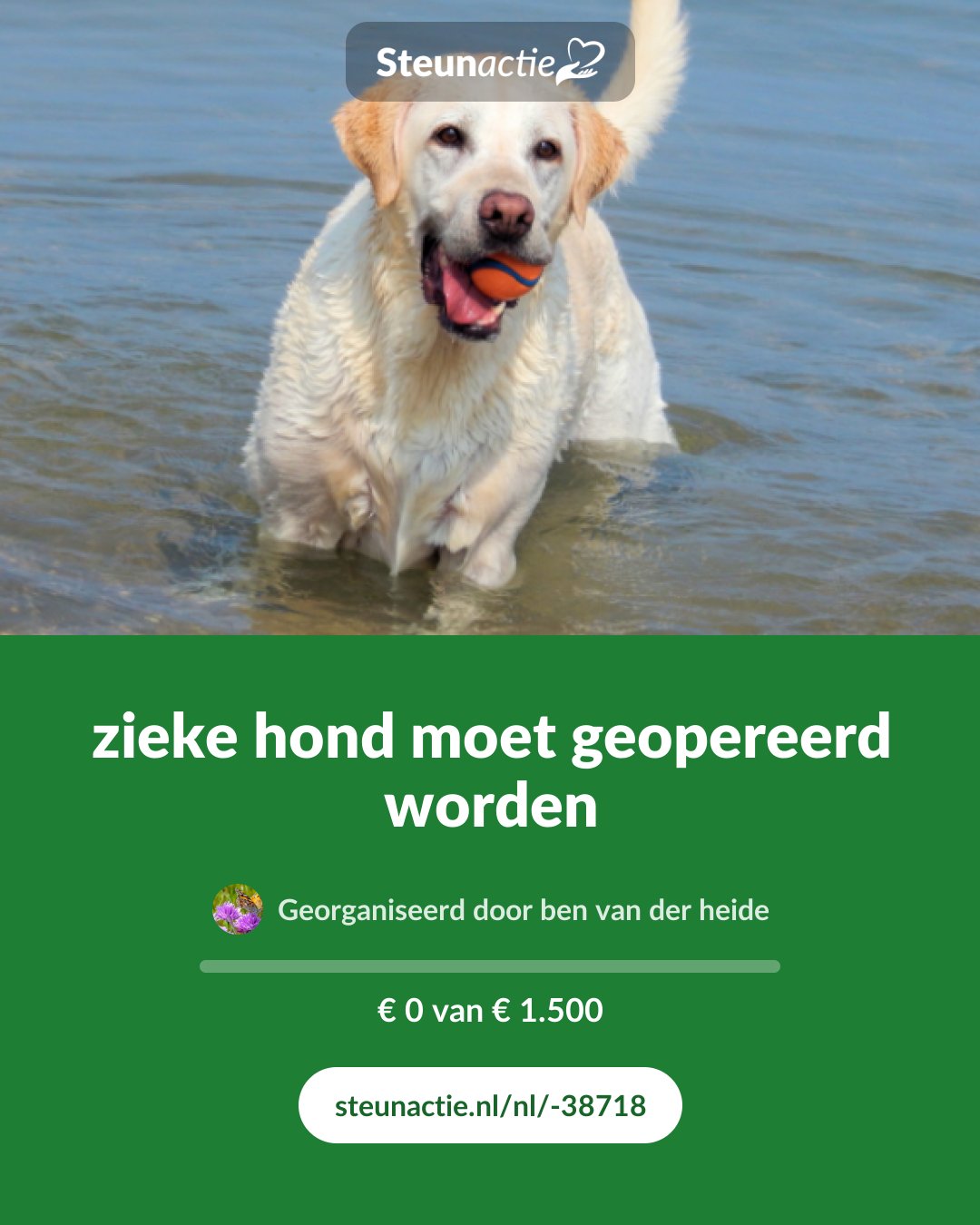 Voorbeeld van de afbeelding