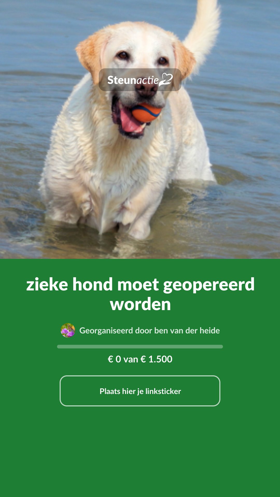 Voorbeeld van de afbeelding