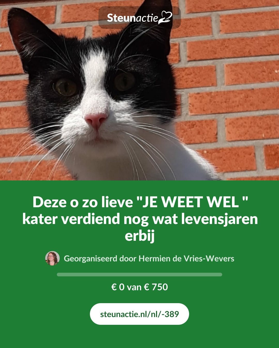 Voorbeeld van de afbeelding