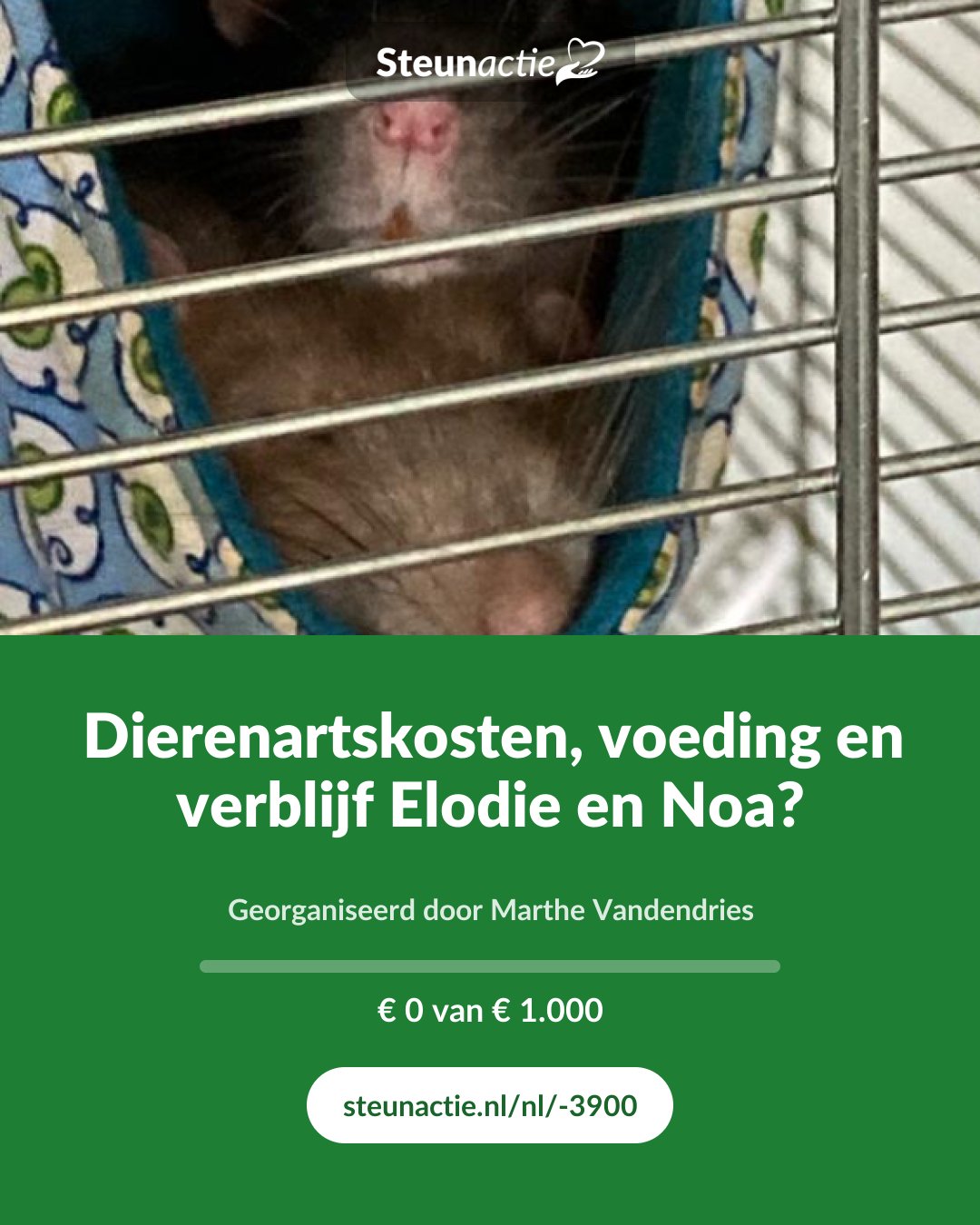 Voorbeeld van de afbeelding