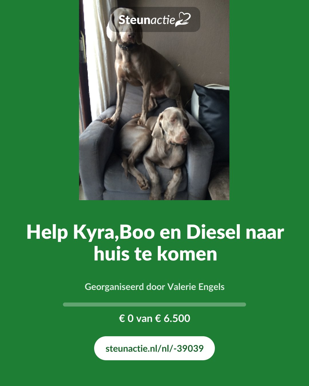 Voorbeeld van de afbeelding