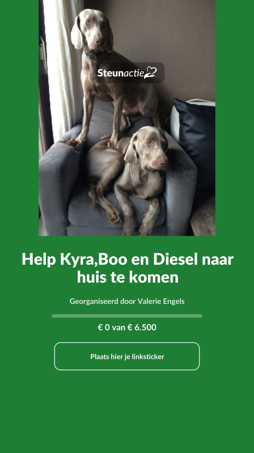 Voorbeeld van de afbeelding