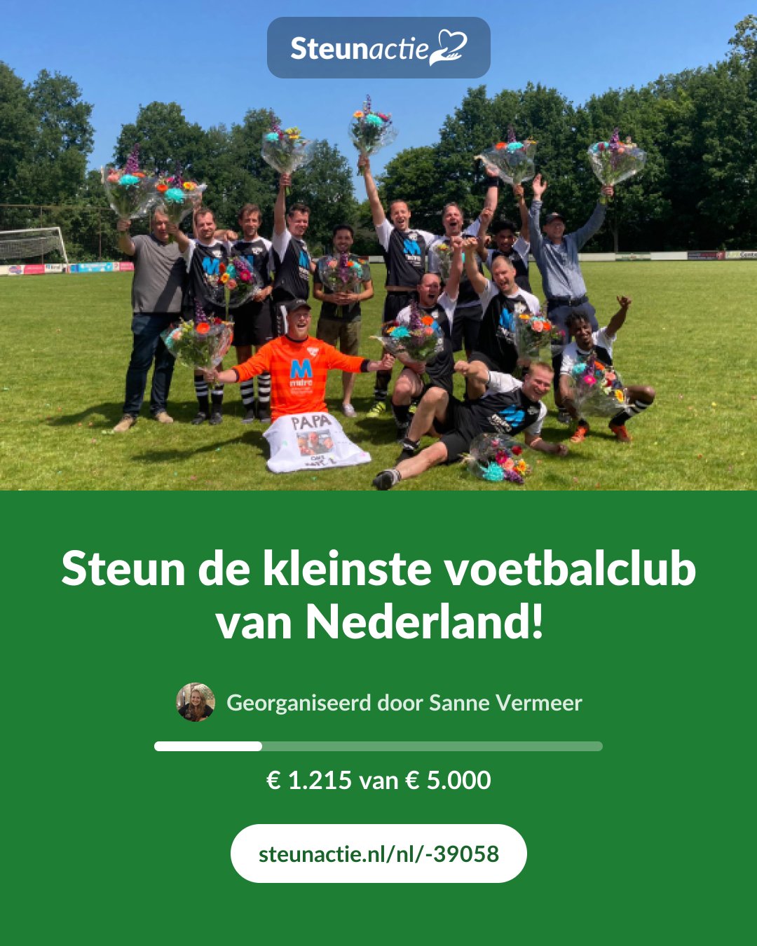 Voorbeeld van de afbeelding