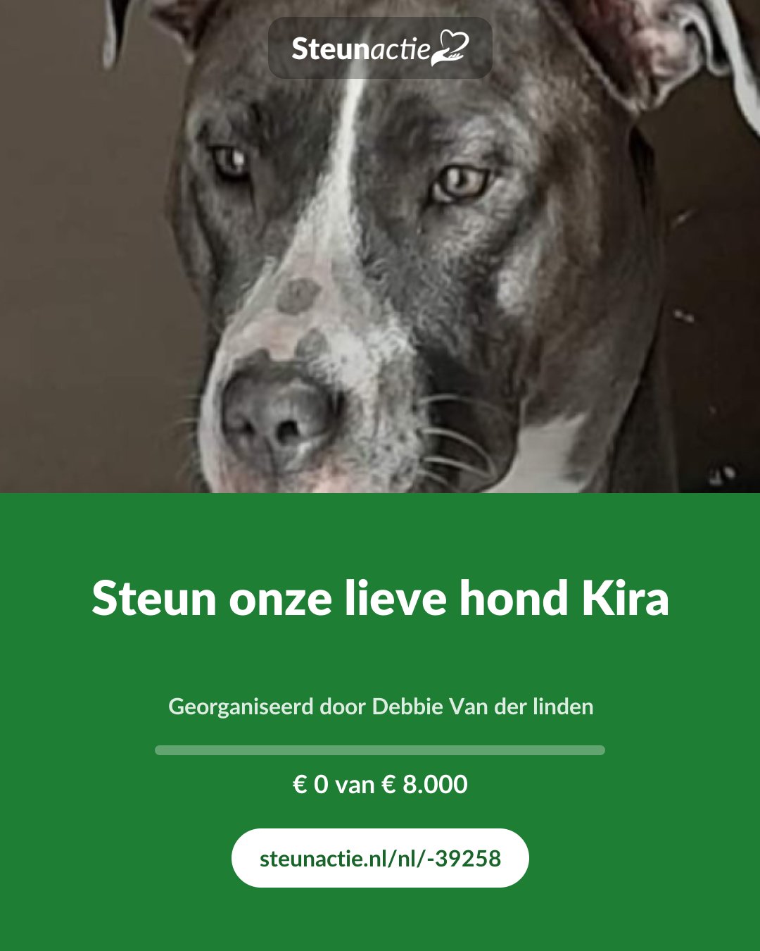 Voorbeeld van de afbeelding