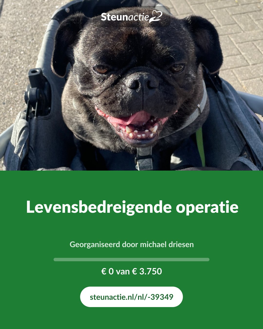 Voorbeeld van de afbeelding