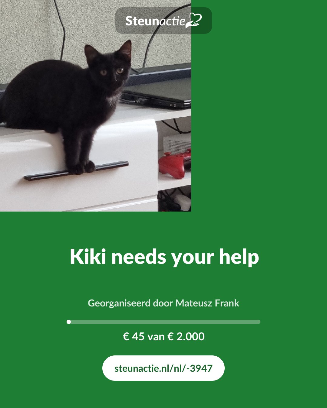 Voorbeeld van de afbeelding