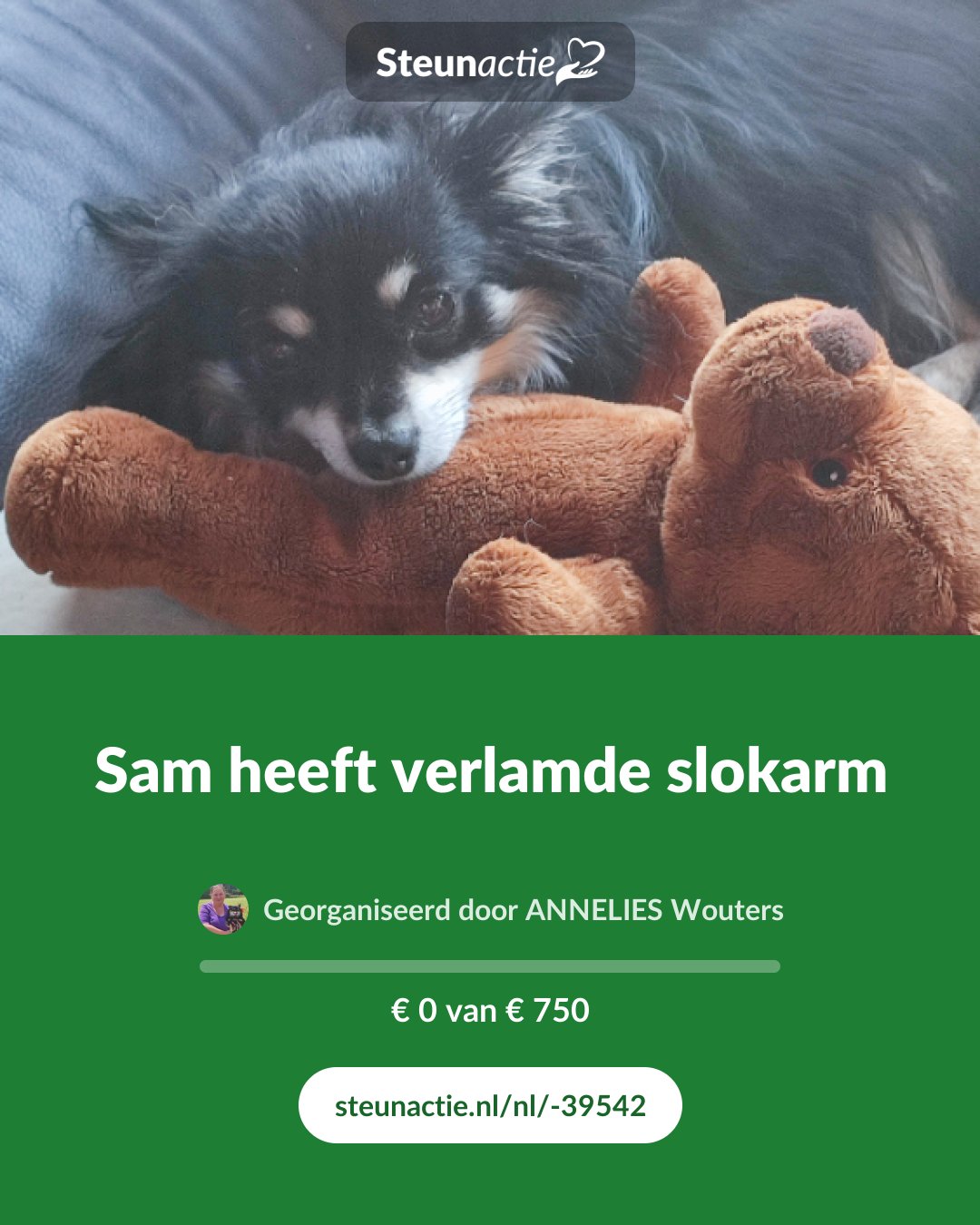 Voorbeeld van de afbeelding