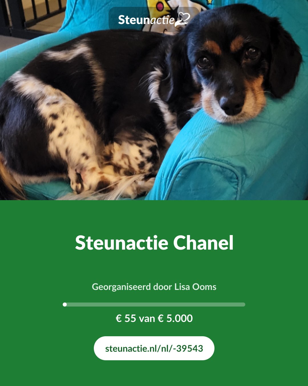 Voorbeeld van de afbeelding