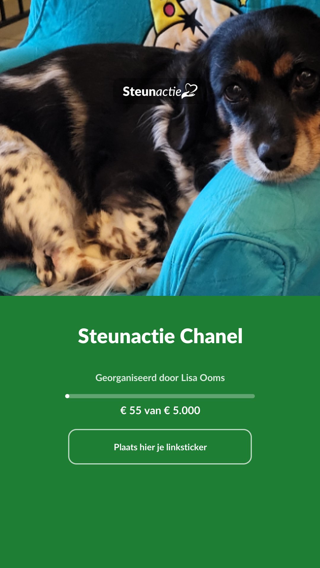 Voorbeeld van de afbeelding