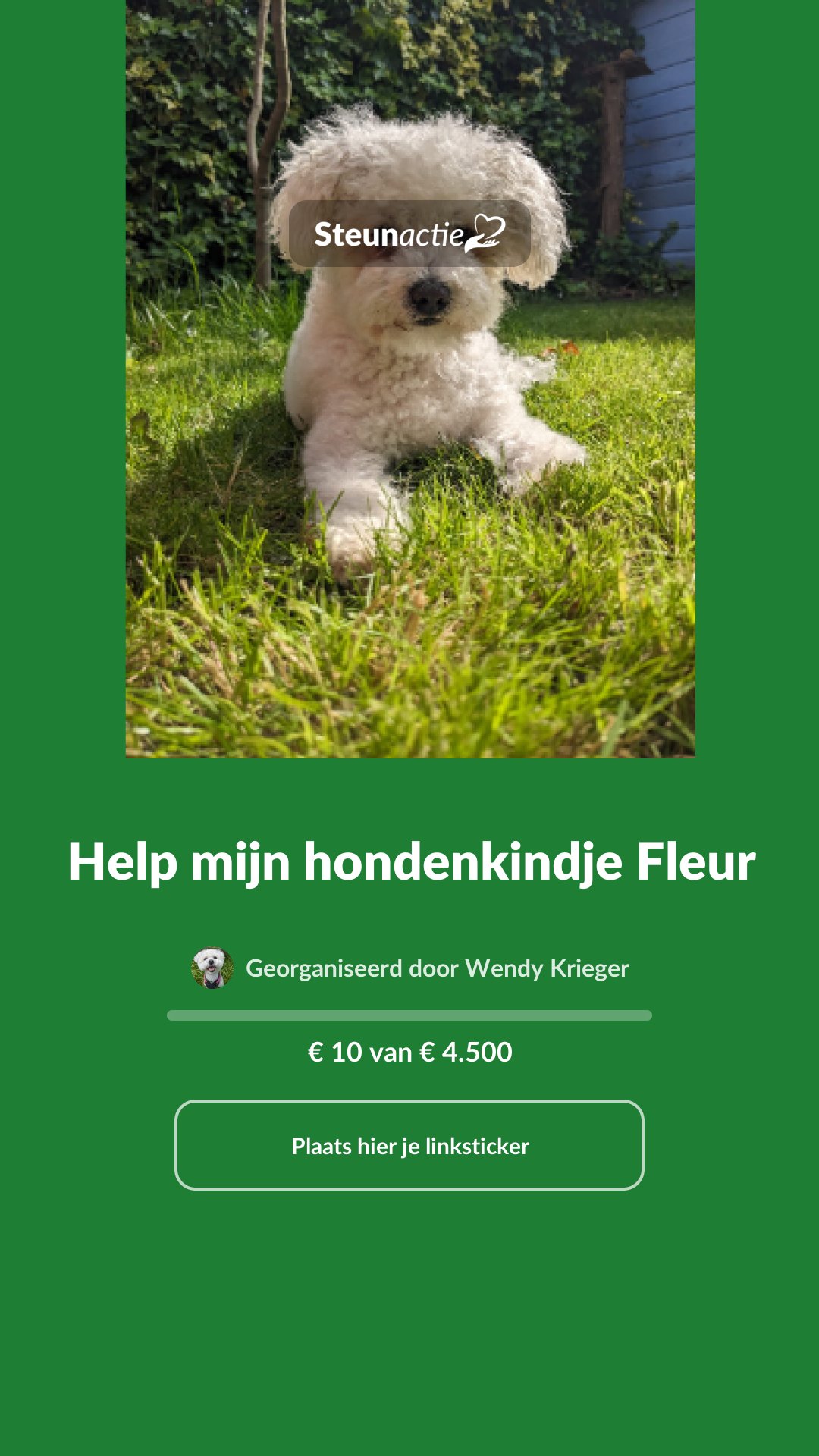 Voorbeeld van de afbeelding