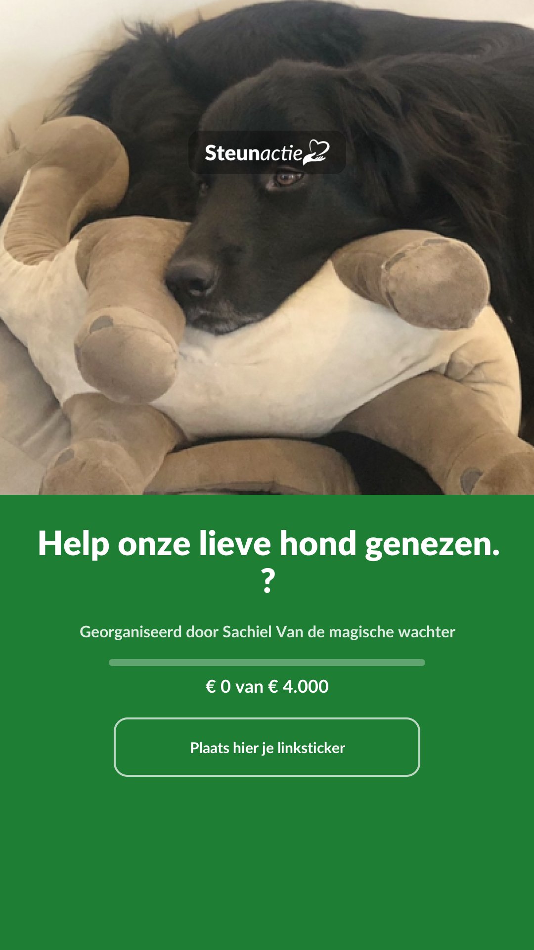 Voorbeeld van de afbeelding
