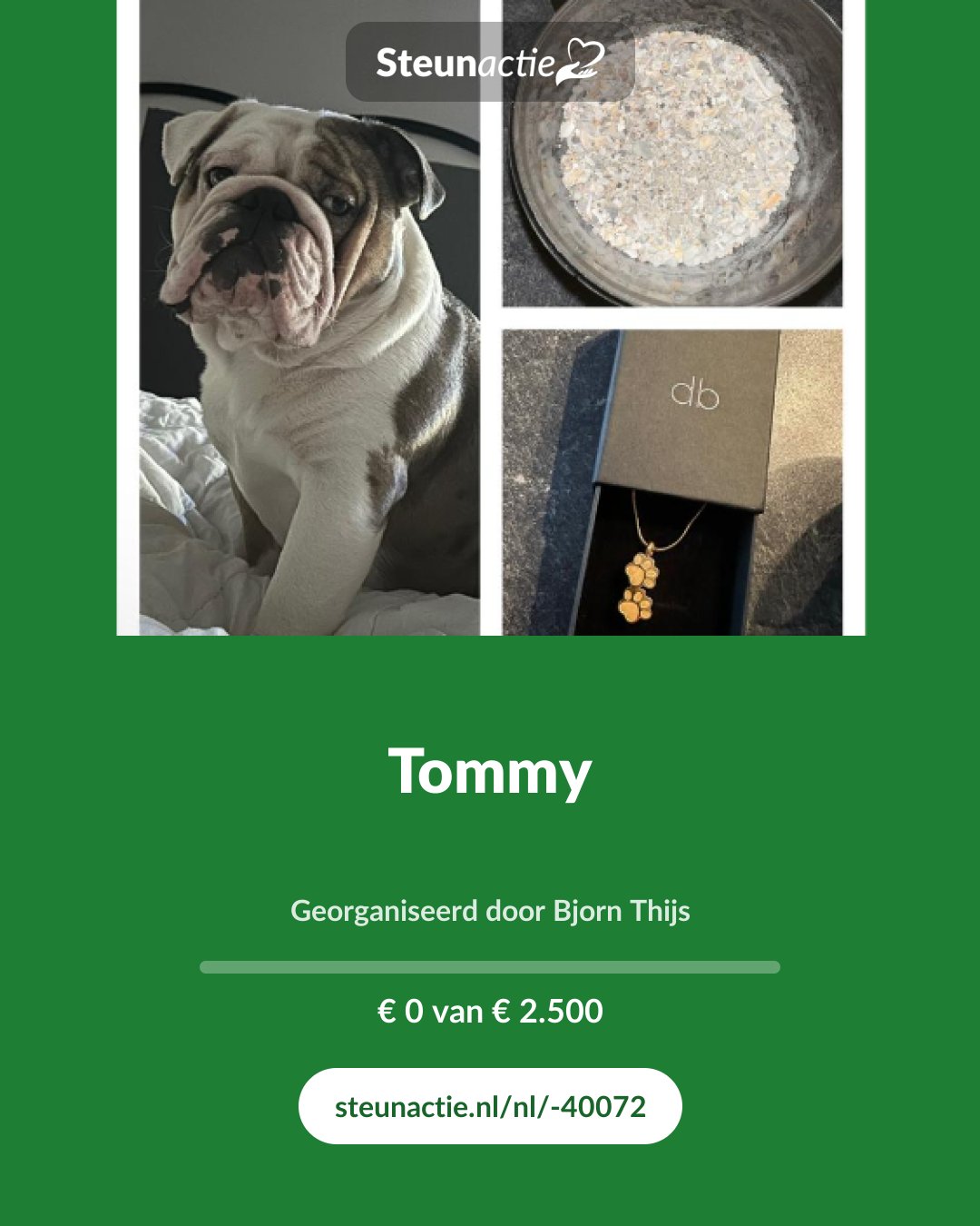 Voorbeeld van de afbeelding