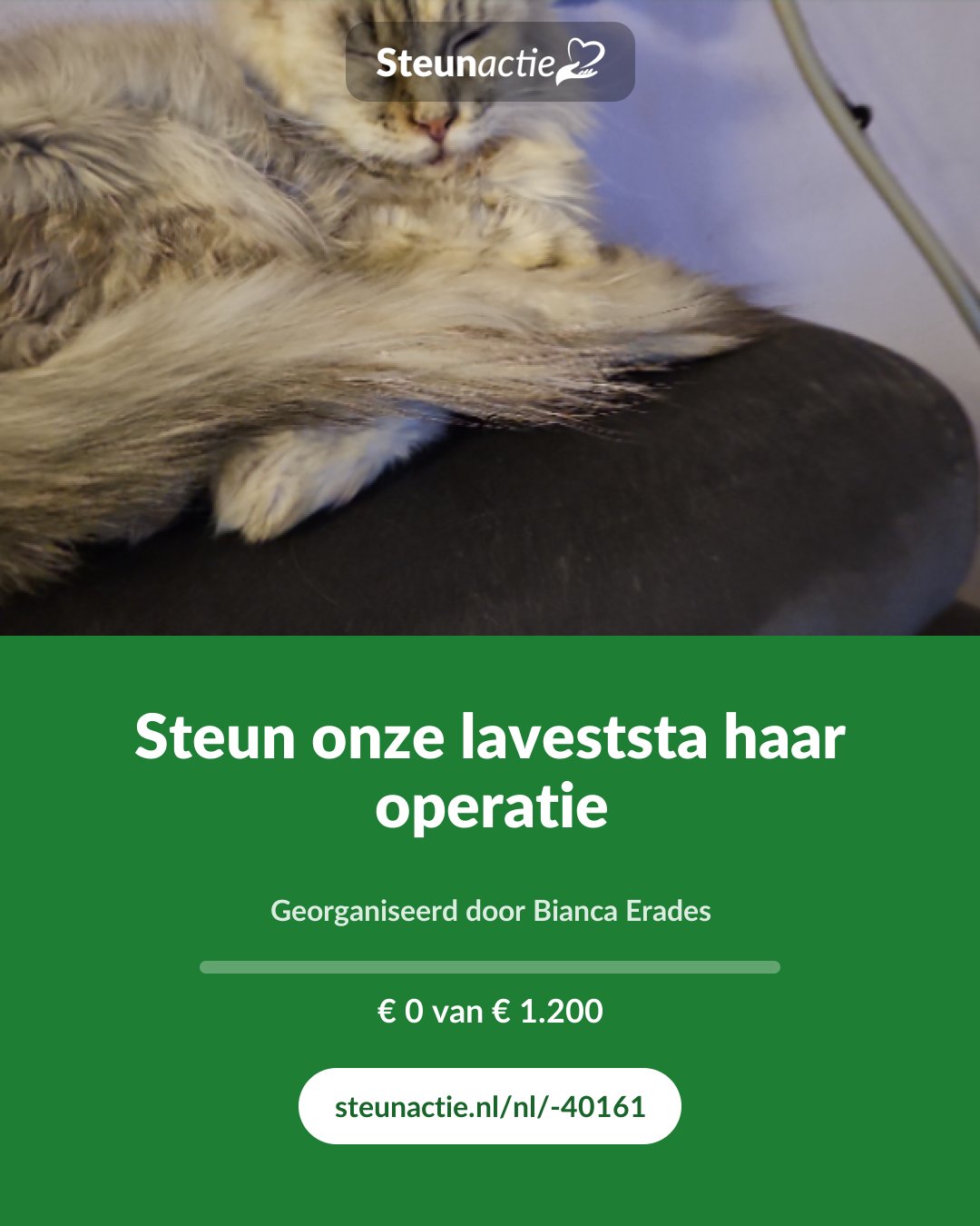 Voorbeeld van de afbeelding