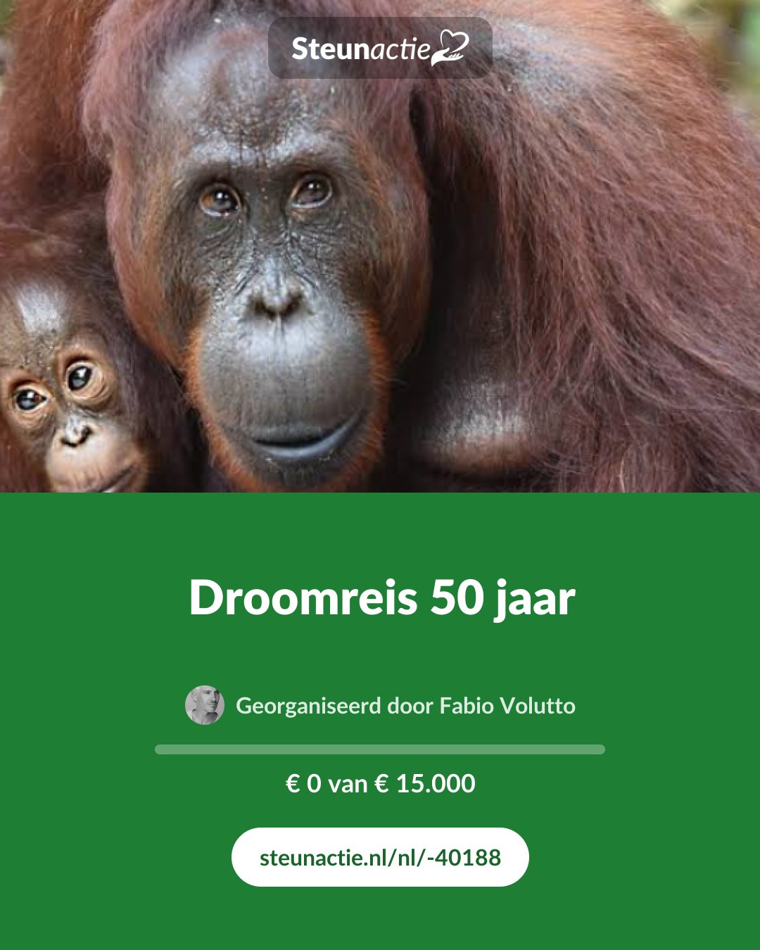 Voorbeeld van de afbeelding