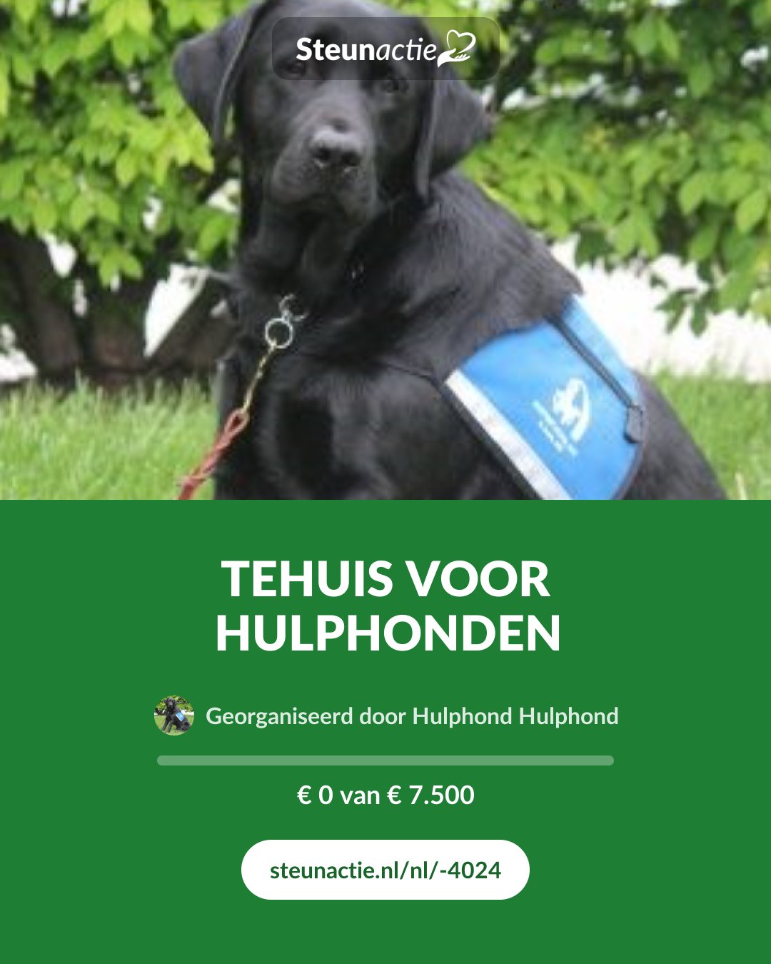 Voorbeeld van de afbeelding
