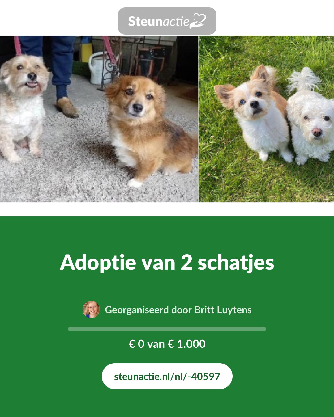 Voorbeeld van de afbeelding