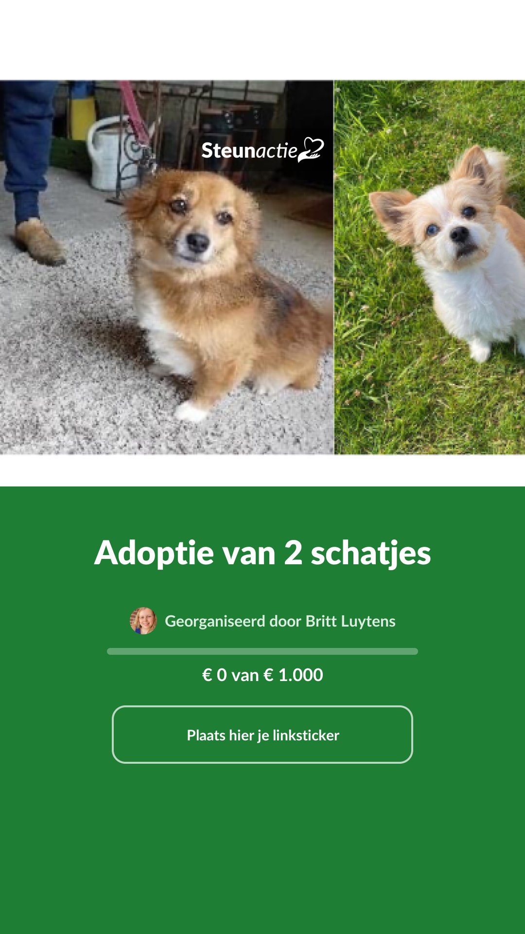 Voorbeeld van de afbeelding