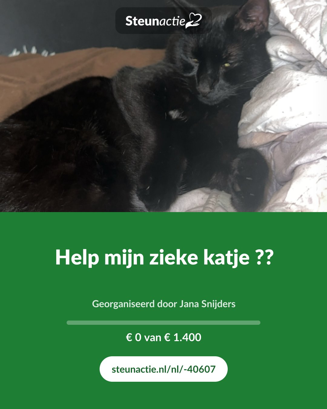 Voorbeeld van de afbeelding