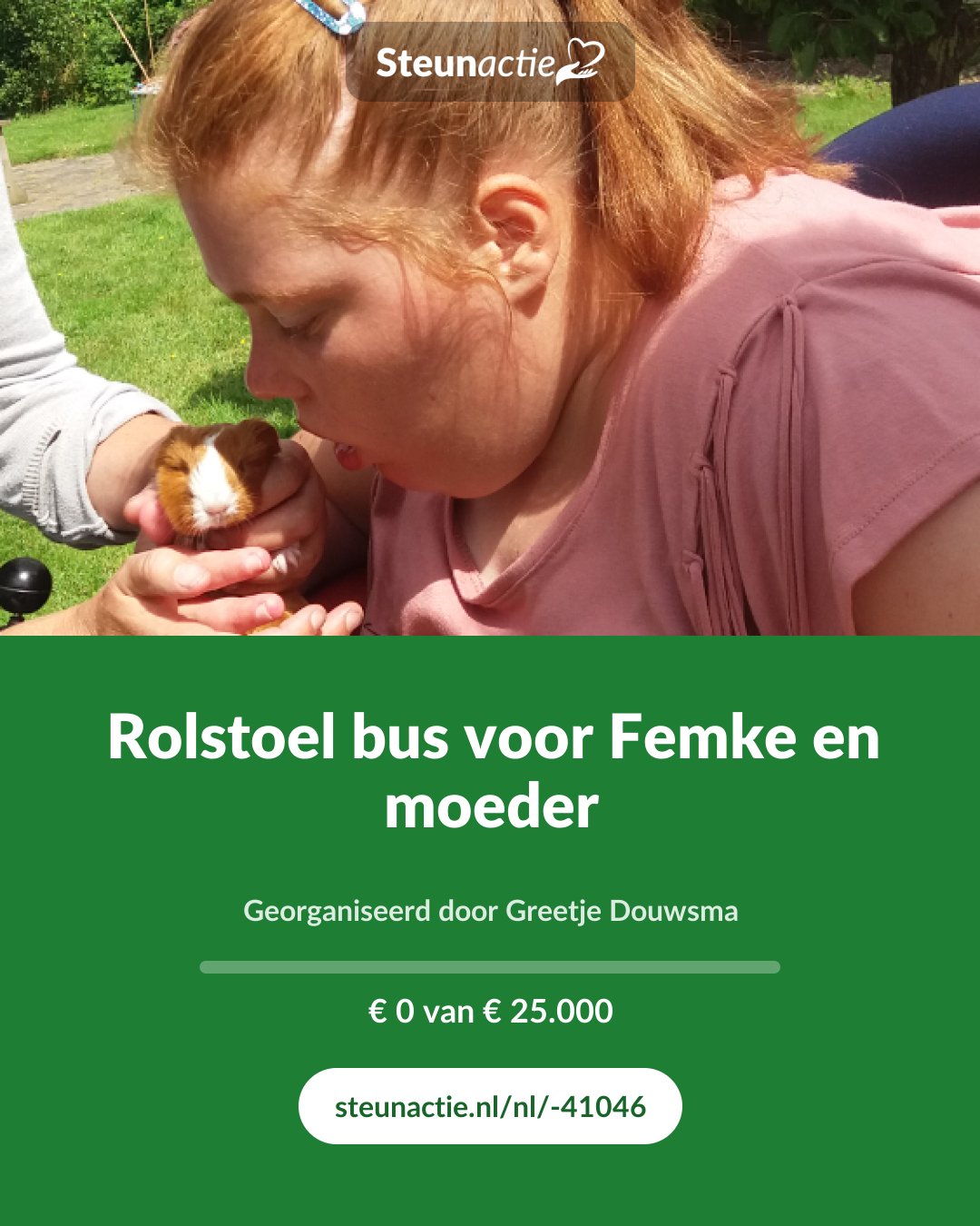 Voorbeeld van de afbeelding