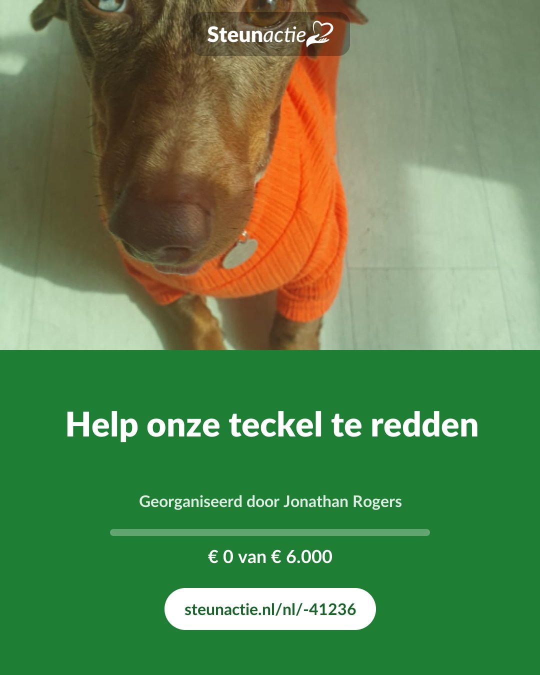 Voorbeeld van de afbeelding