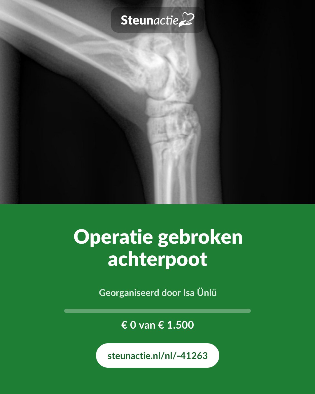 Voorbeeld van de afbeelding